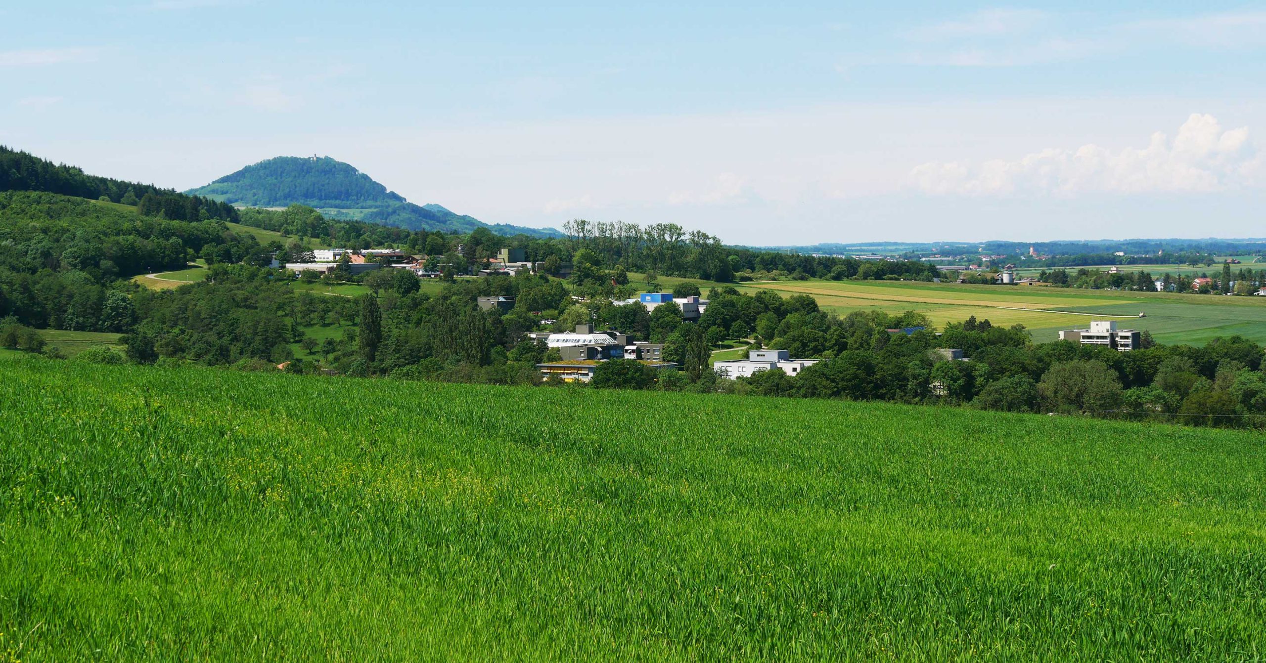 banner-image