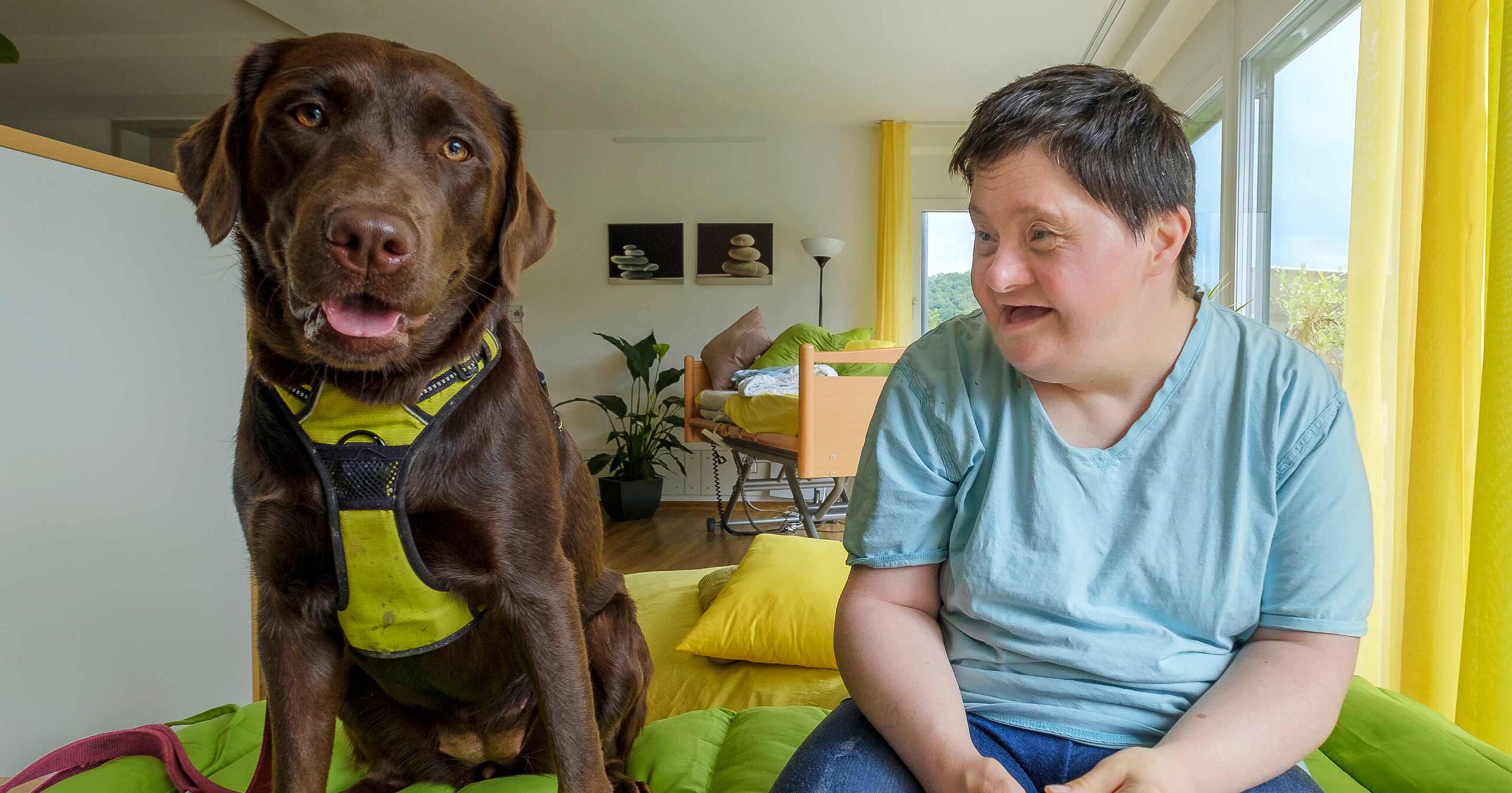 Ein schokoladenbrauner Labrador mit Geschirr sitzt neben einer lächelnden Person in einem hellblauen Hemd. Sie befinden sich in einem Innenbereich mit leuchtend gelbem und grünem Dekor im Hintergrund.