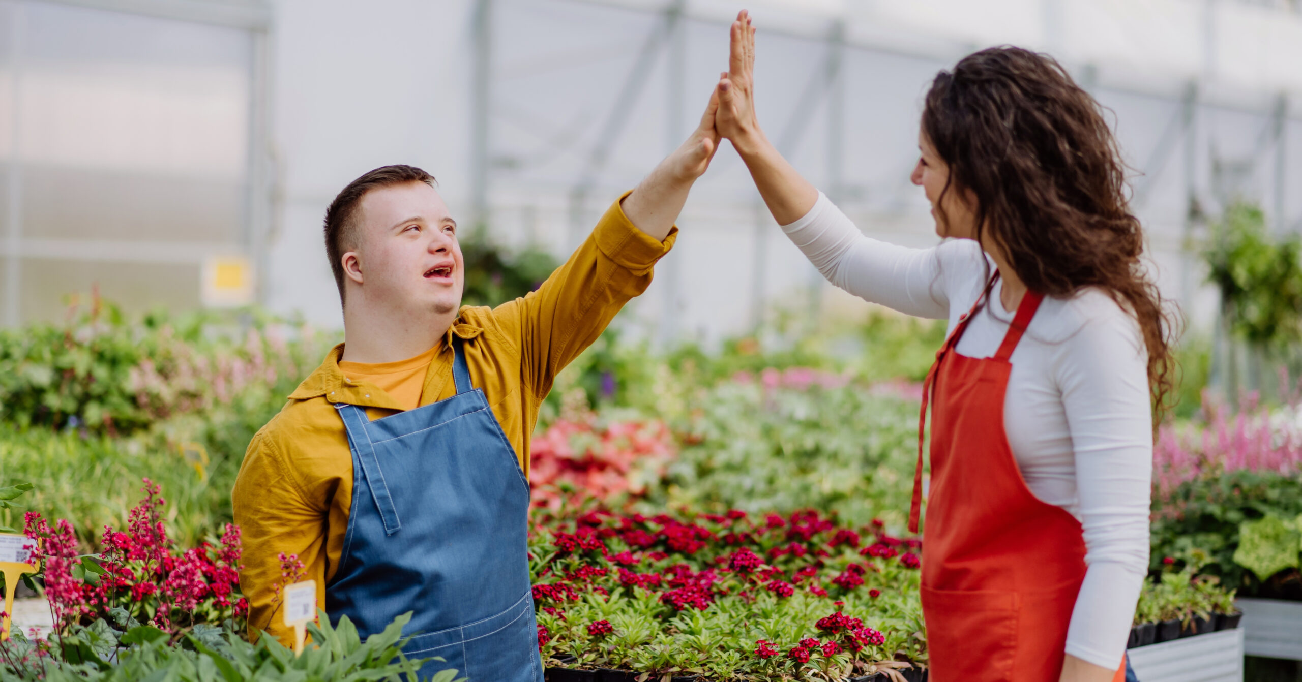 Ein Mann und eine Frau mit Schürzen geben sich in einem Gewächshaus, umgeben von leuchtenden Blumen und Pflanzen, ein High Five.