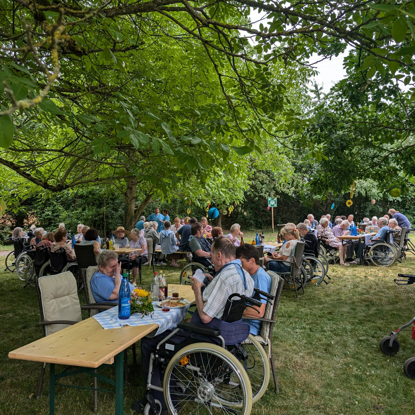 Eine Gruppe älterer Menschen, viele von ihnen in Rollstühlen, sitzt an Tischen im Freien unter Bäumen und genießt das Essen und die Gespräche beim St. Helena Sommerfest an einem sonnigen Tag im Garten.