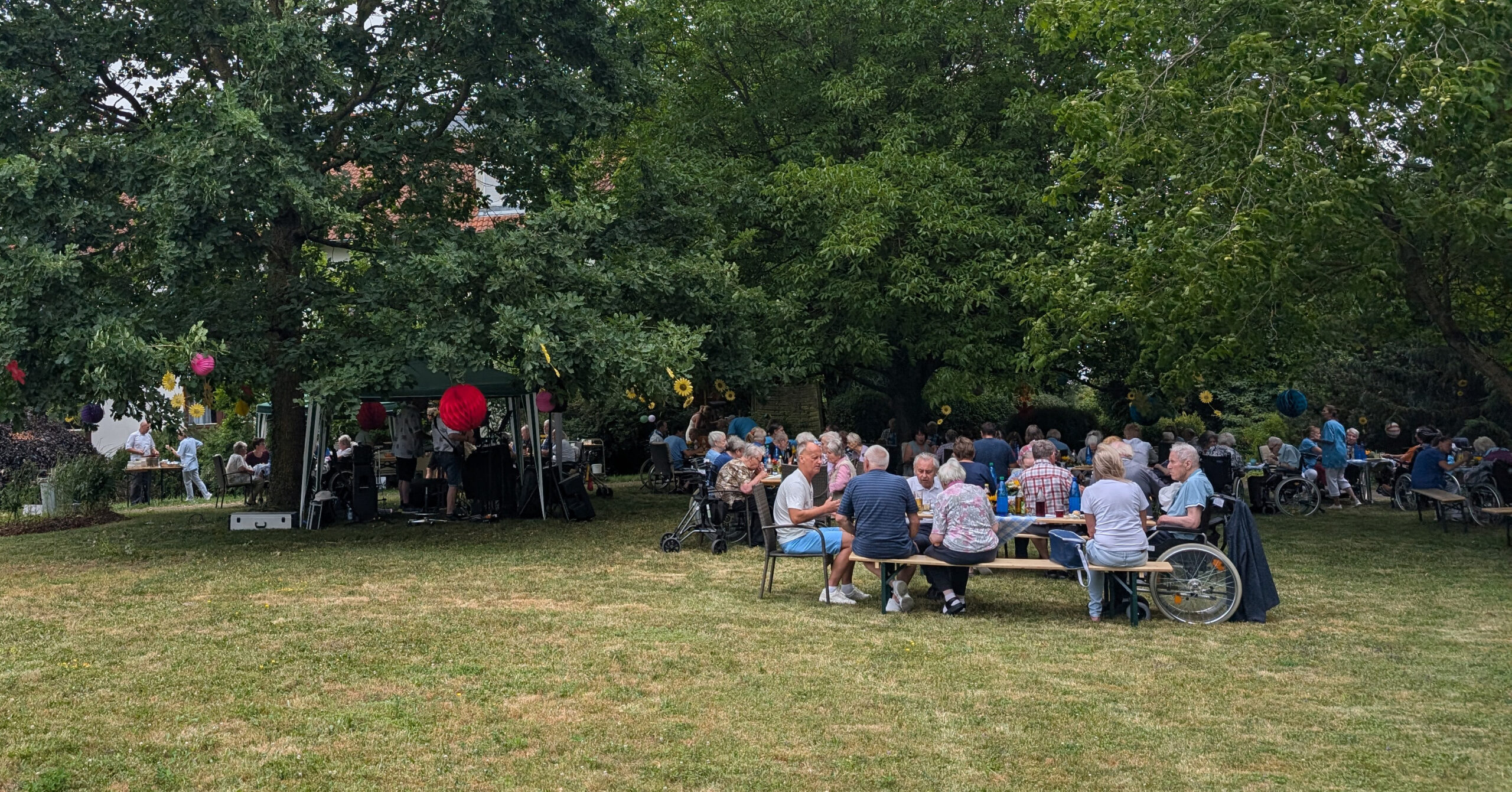 Eine Gruppe von Menschen sitzt an Picknicktischen unter großen Bäumen in einem grasbewachsenen Park in St. Helena, während in der Nähe Musiker auf einer kleinen Freilichtbühne spielen. An den Bäumen hängen bunte Dekorationen, die die Atmosphäre des Sommerfestes noch verstärken.