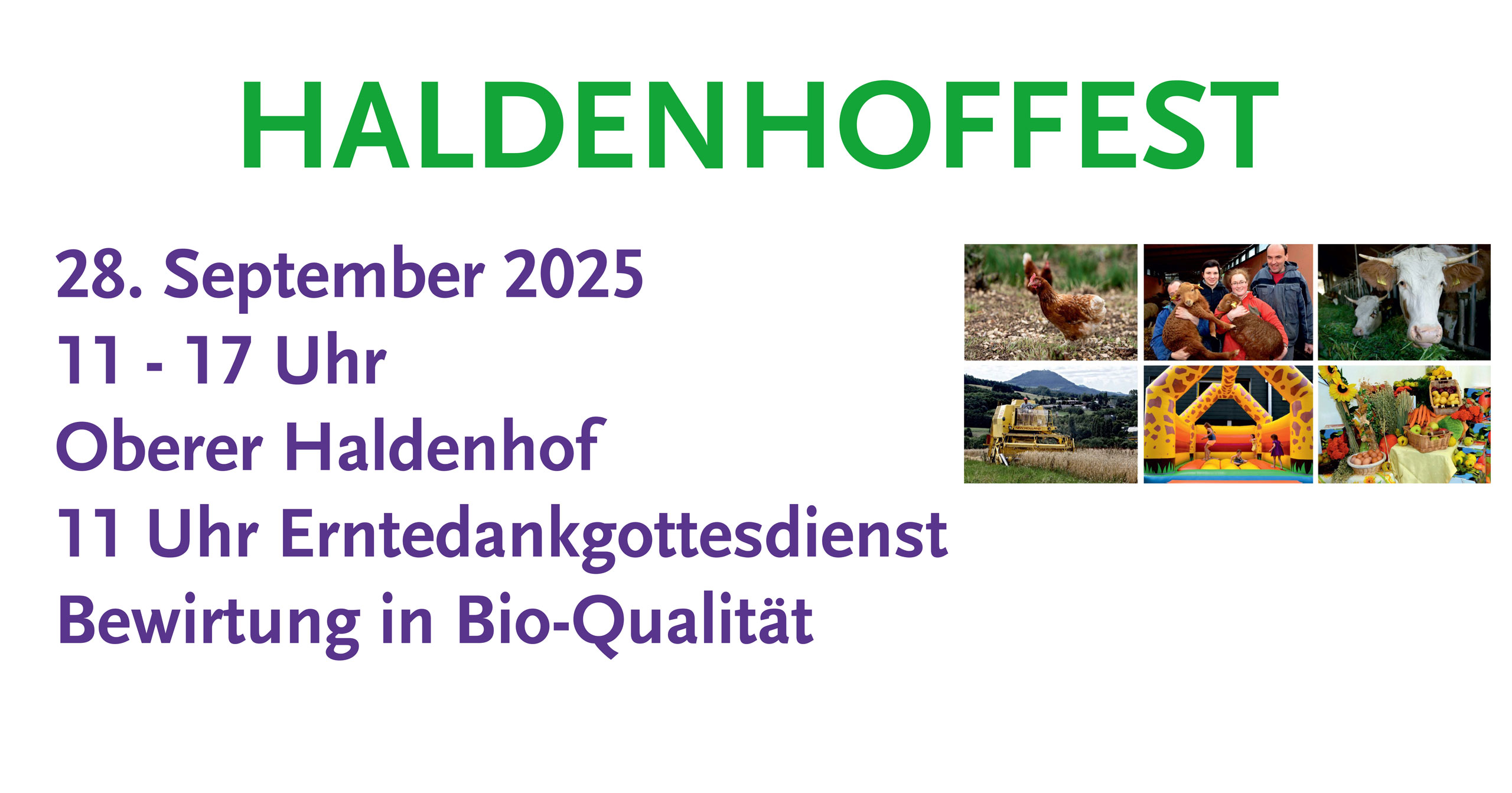Ankündigung für das Haldenhoffest in grüner und violetter Schrift, mit Veranstaltungshinweisen und kleinen Fotos von Bauernhoftieren, frischen Produkten, einem Mähdrescher, einer Hüpfburg und Menschen, die sich auf dem Bauernhof vergnügen.