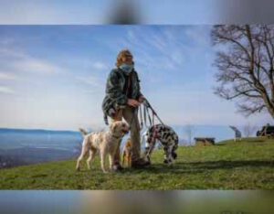 Eine Person mit Maske genießt einen Hunde-Spaziergang mit drei Hunden auf einer grasbewachsenen Anhöhe mit einer malerischen Aussicht und einem klaren Himmel im Hintergrund.