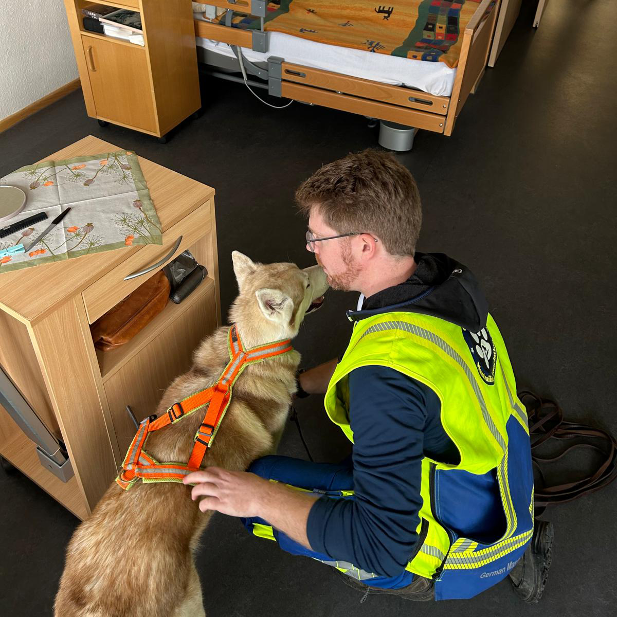 Eine Person in einer fluoreszierenden Weste kniet neben einem Husky in einem orangefarbenen Geschirr und hält den Kopf des Hundes sanft neben einem hölzernen Nachttisch im St. Elisabeth, wo ein Bett und ein dunkler Bodenbelag zu sehen sind – Teil der mitfühlenden Pflege der GMA. Eine Person in einer fluoreszierenden Weste kniet neben einem Husky in einem orangefarbenen Geschirr und hält den Kopf des Hundes sanft neben einem hölzernen Nachttisch im St. Elisabeth, wo ein Bett und ein dunkler Bodenbelag zu sehen sind - Teil der mitfühlenden Pflege der GMA.