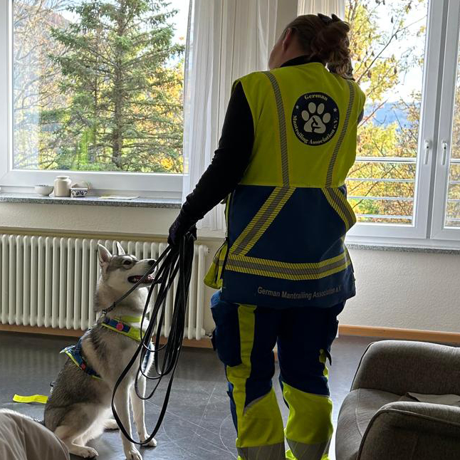 Eine Person in Warnkleidung steht in einem Innenraum von St. Elisabeth und hält eine Leine an einem geschirrten Husky. Im Hintergrund sind große Fenster und Bäume zu sehen, die einen Moment während der GMA-Aktivitäten festhalten. Eine Person in Warnkleidung steht in einem Innenraum von St. Elisabeth und hält eine Leine an einem geschirrten Husky. Im Hintergrund sind große Fenster und Bäume zu sehen, die einen Moment während der GMA-Aktivitäten festhalten.