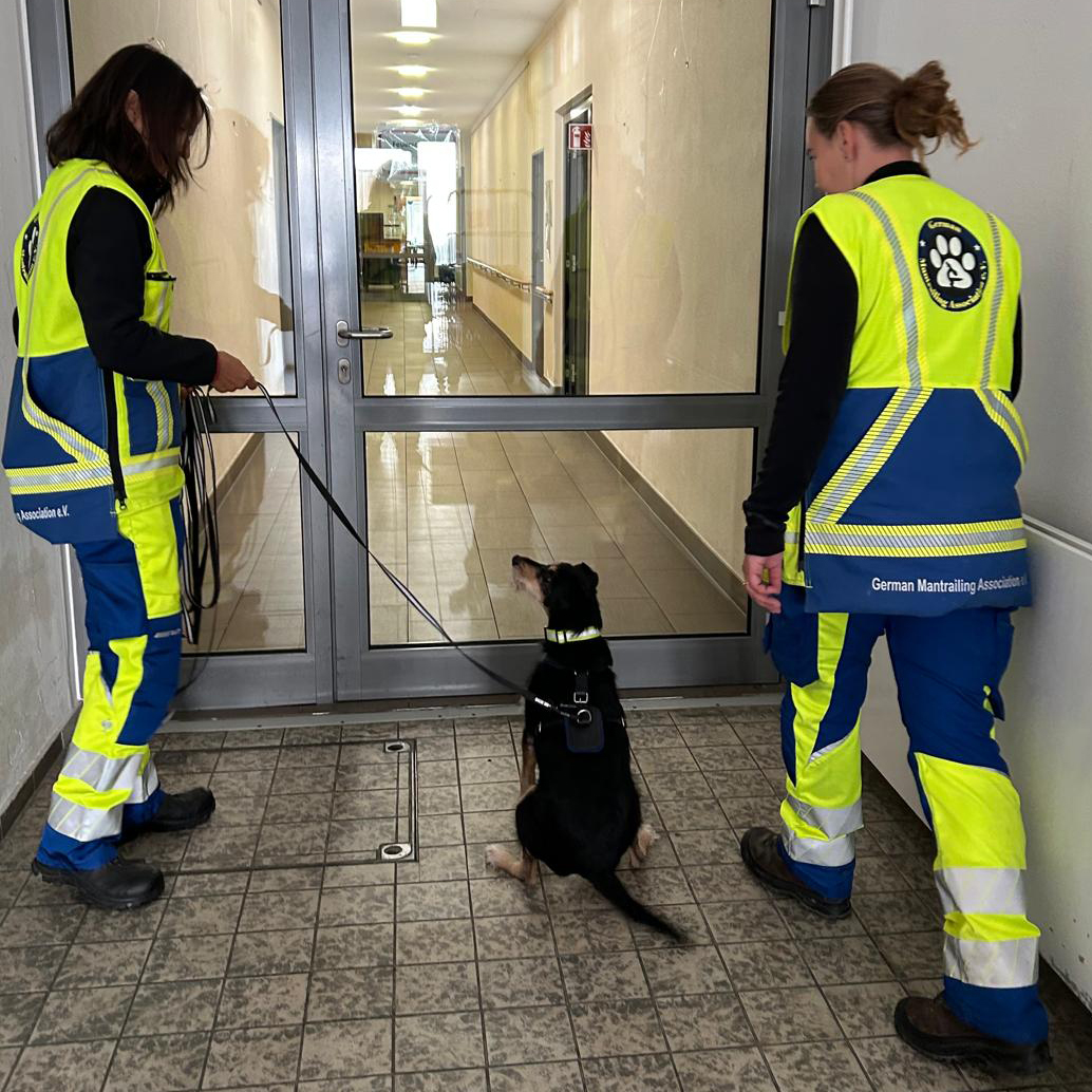 Zwei Personen in gut sichtbaren Uniformen mit GMA-Logos stehen auf beiden Seiten eines sitzenden Hundes an der Leine, der vor einer geschlossenen Glastür im Flur von St. Elisabeth steht. Zwei Personen in gut sichtbaren Uniformen mit GMA-Logos stehen auf beiden Seiten eines sitzenden Hundes an der Leine, der vor einer geschlossenen Glastür im Flur von St. Elisabeth steht.